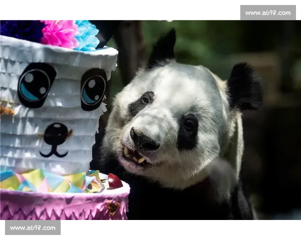 墨西哥为 35 岁大熊猫 “欣欣” 庆生 海外最长寿 “友谊大使” 迎百岁华诞 墨西哥为 35 岁大熊猫 “欣欣” 庆生 海外最长寿 “友谊大使” 迎百岁华诞